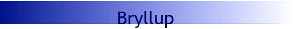 Bryllup                      
